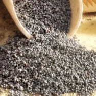 buy organic blue poppy seeds 3 5 lbs